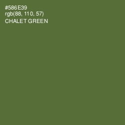 #586E39 - Chalet Green Color Image